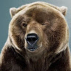 Meet your Posher, Radu